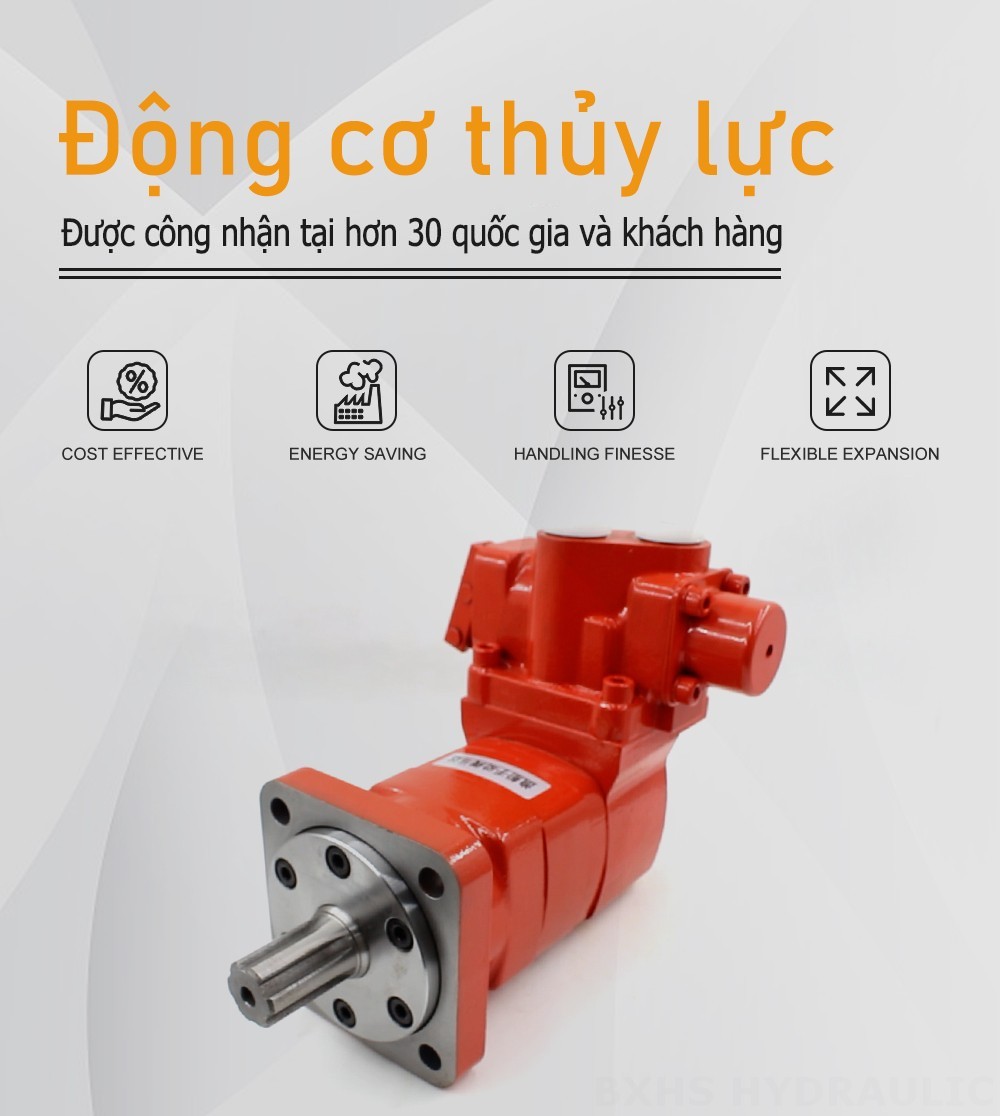 Mô-tơ van hướng BM5 điều khiển bằng tay 160 cc/vòng 75 L/phút Mô tơ thủy lực